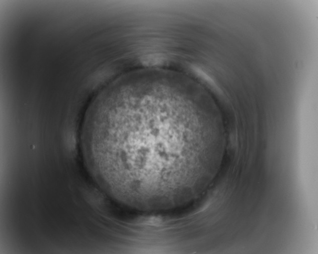 X0000088890687200706151830