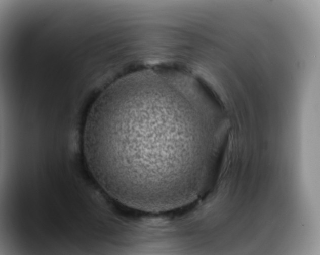 X0000088890689200706151830