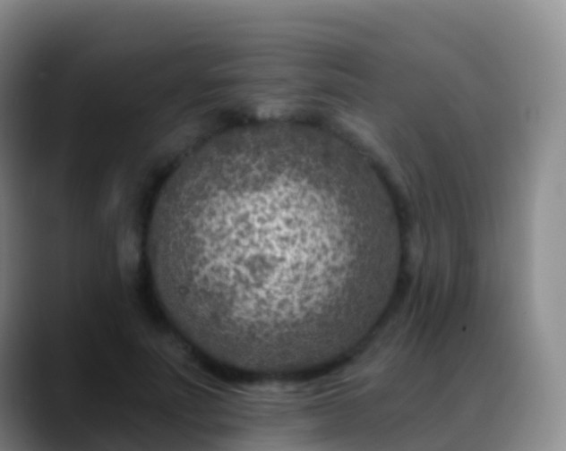 X0000088890691200706151830