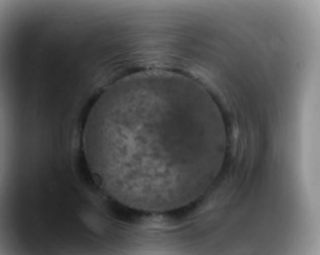 X0000088890695200706151830