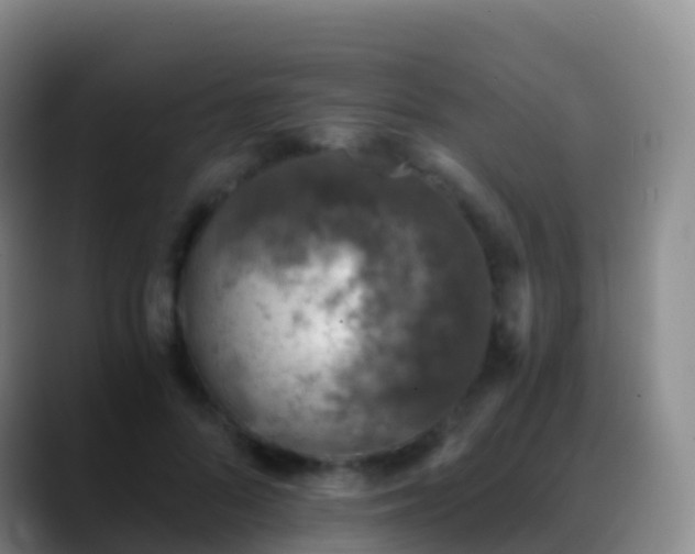 X0000088890696200706151830