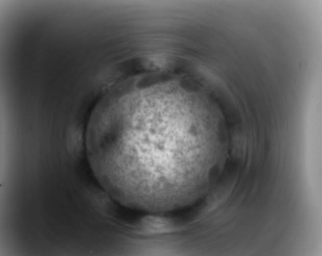 X0000088890699200706151830