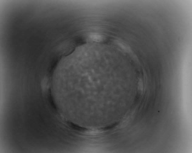 X0000088890701200706151830