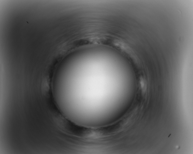 X0000088890702200706151830