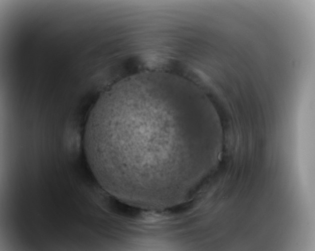 X0000088890703200706151830