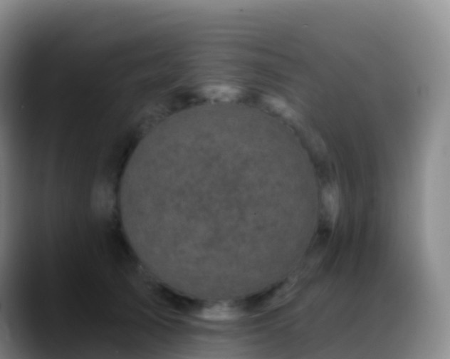 X0000088890705200706151830