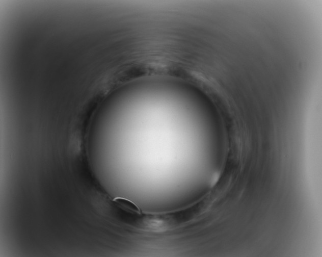 X0000088890706200706151830