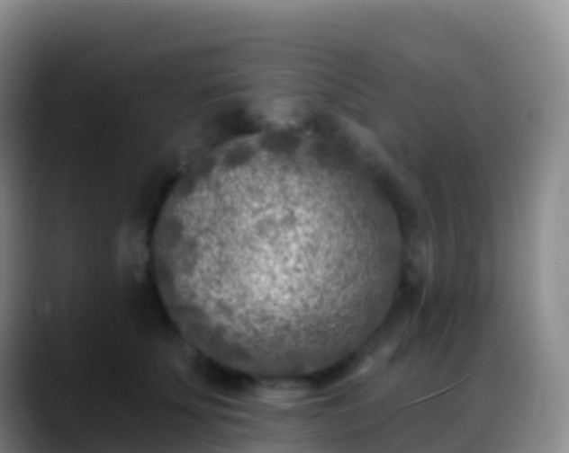 X0000088890707200706151830