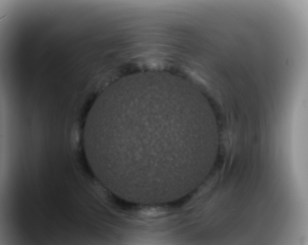 X0000088890709200706151830