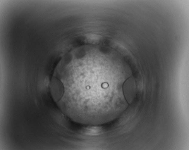 X0000088890711200706151830