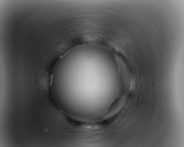 X0000088890712200706151829