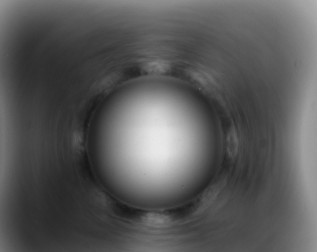 X0000088890714200706151829