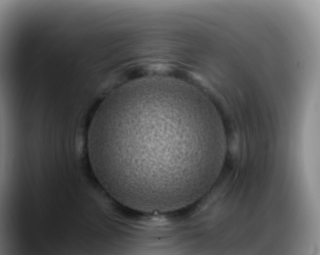 X0000088890715200706151829