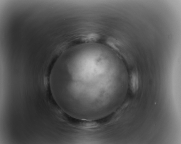 X0000088890716200706151829