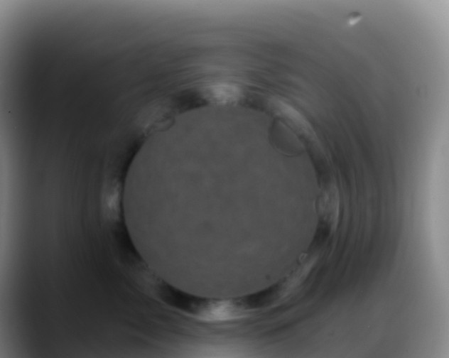 X0000088890717200706151829