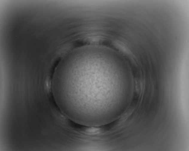 X0000088890718200706151829