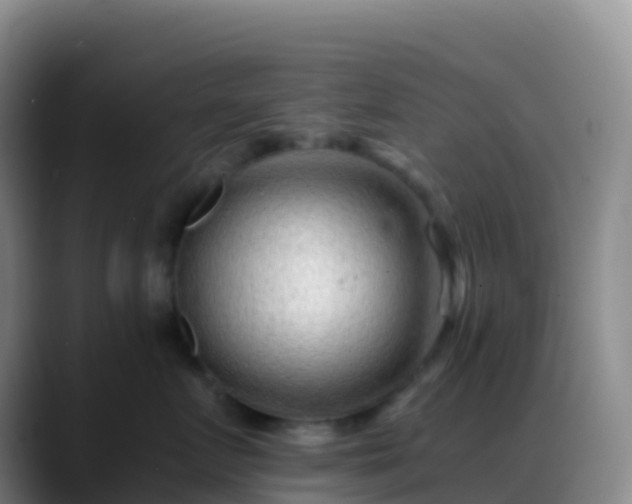 X0000088890719200706151829