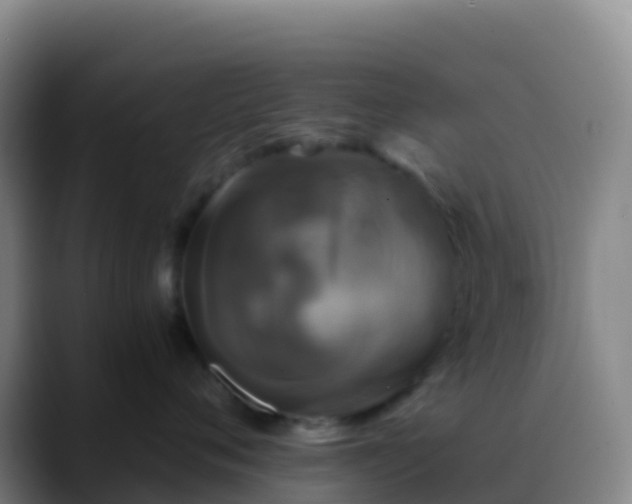 X0000088890720200706151829