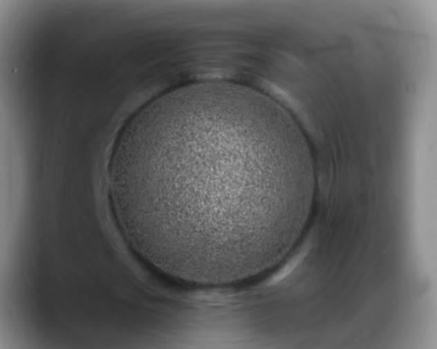 X0000088890721200706151829