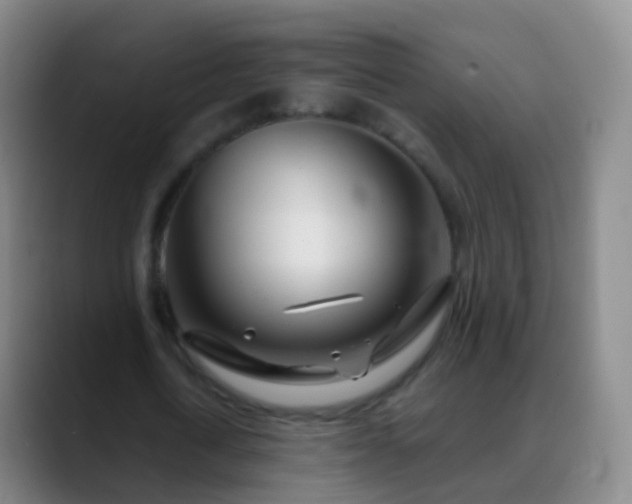 X0000088890722200706151829