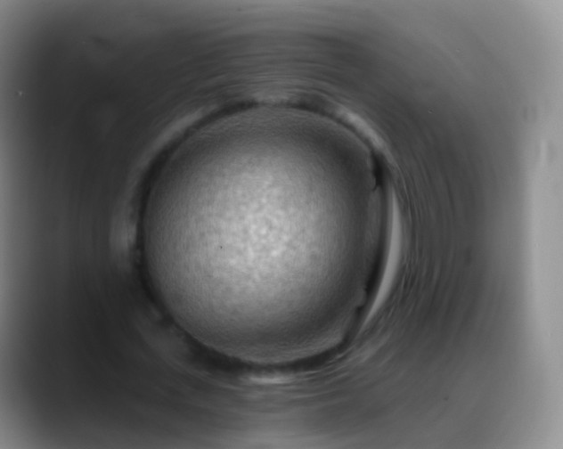 X0000088890723200706151829