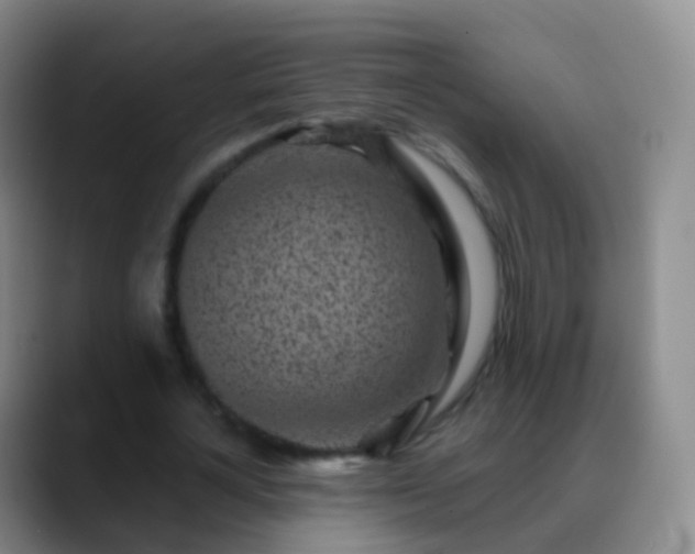 X0000088890724200706151829