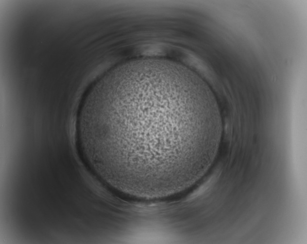 X0000088890725200706151829