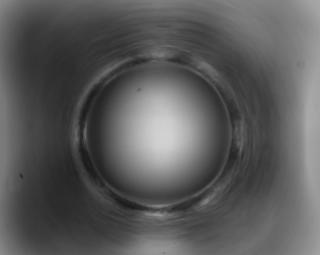 X0000088890726200706151829