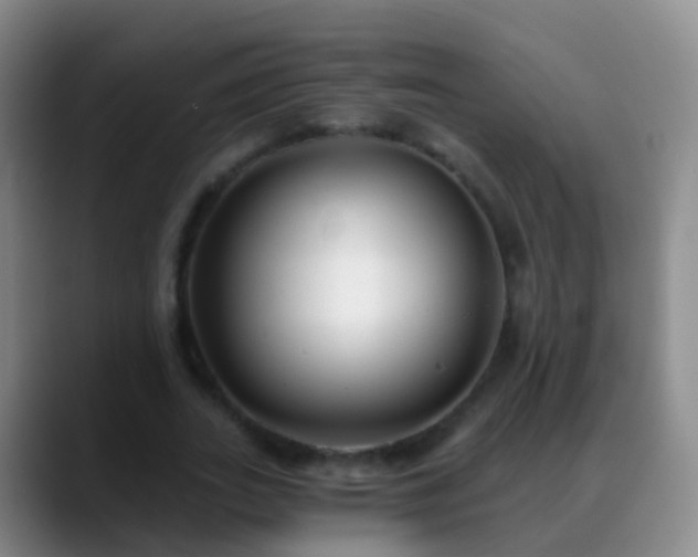 X0000088890727200706151829