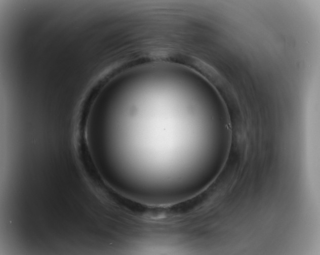 X0000088890728200706151829