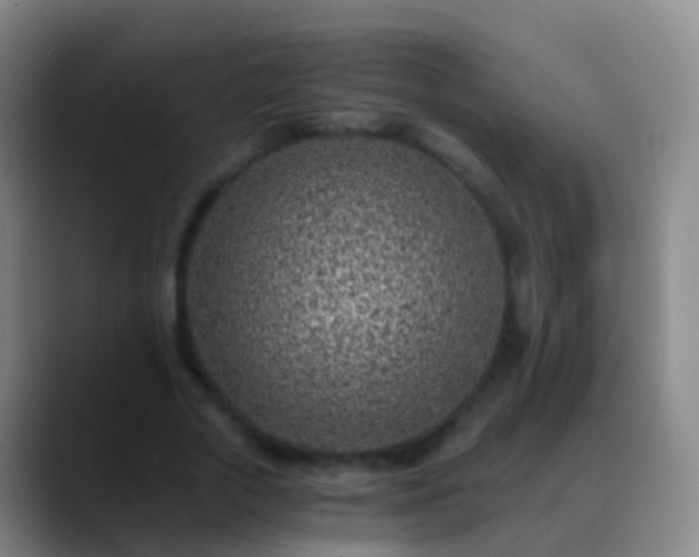 X0000088890729200706151829