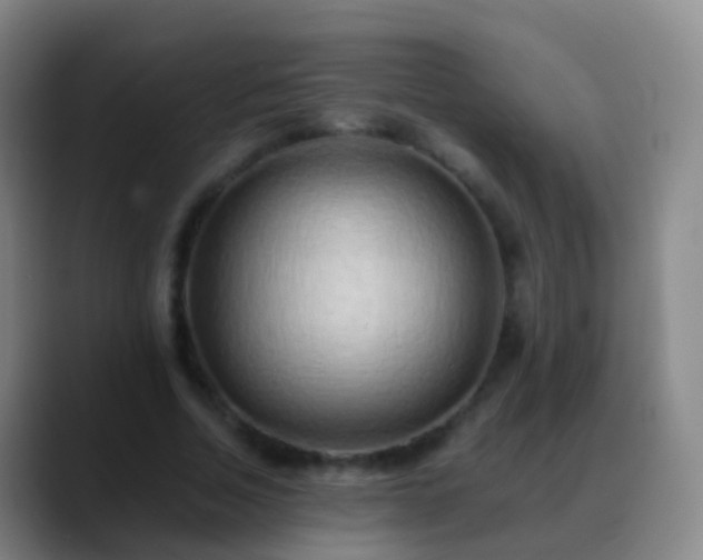 X0000088890730200706151829