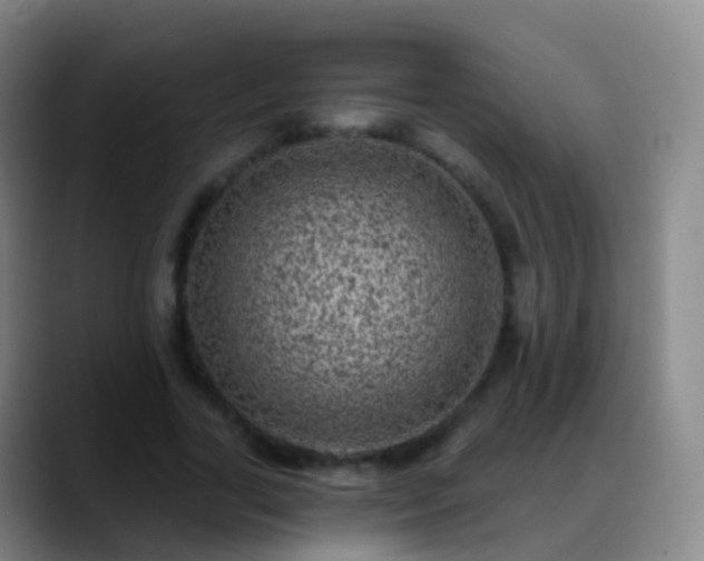 X0000088890731200706151829