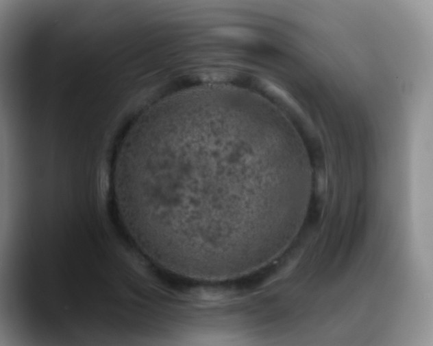 X0000088890733200706151829