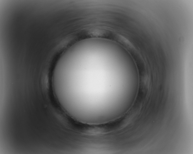 X0000088890734200706151829