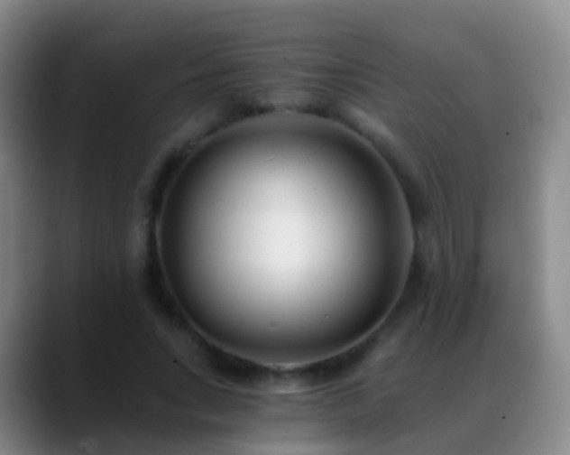 X0000088890735200706151829