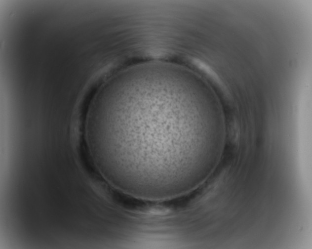 X0000088890736200706151829