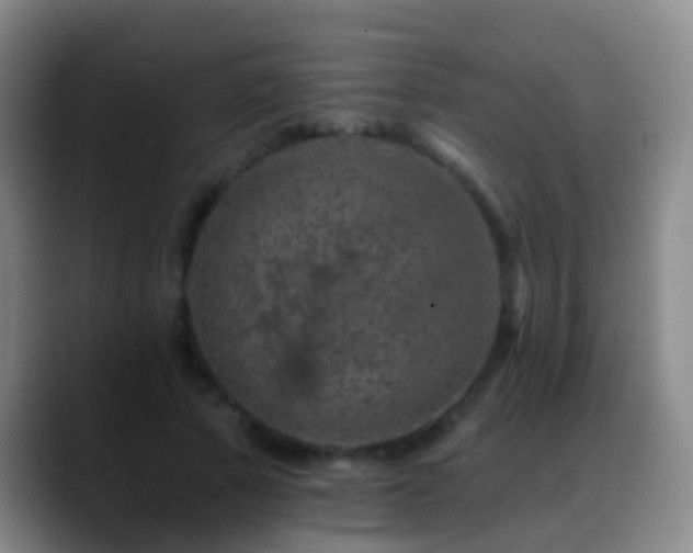 X0000088890737200706151829