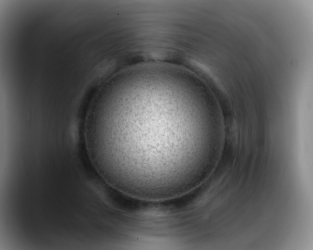 X0000088890738200706151829