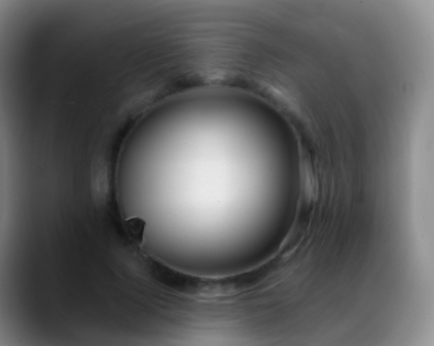 X0000088890740200706151829