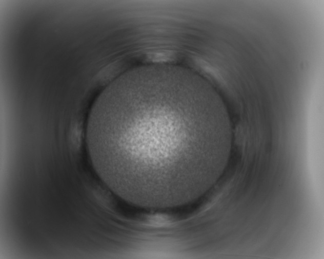 X0000088890741200706151829