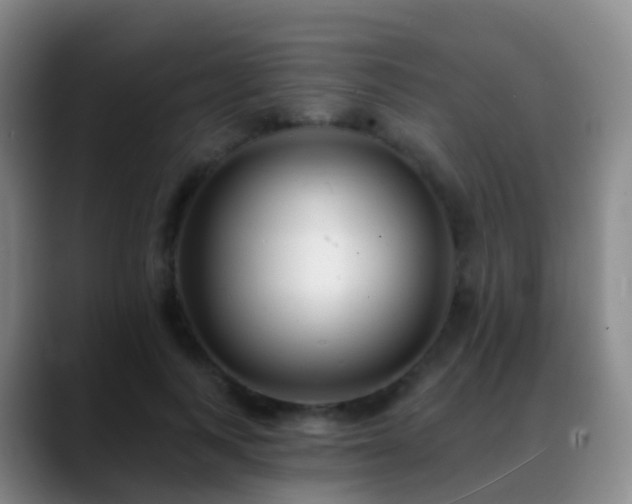 X0000088890743200706151829