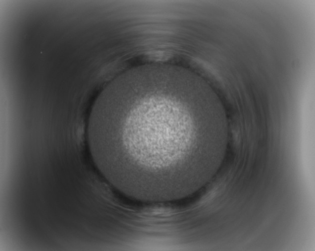 X0000088890745200706151829