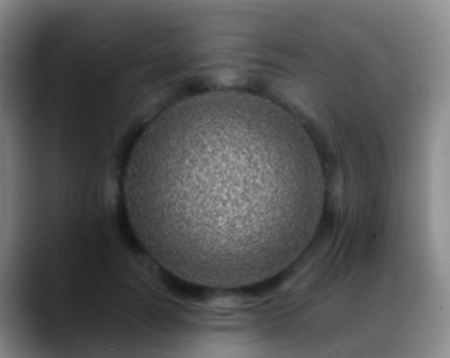 X0000088890746200706151829