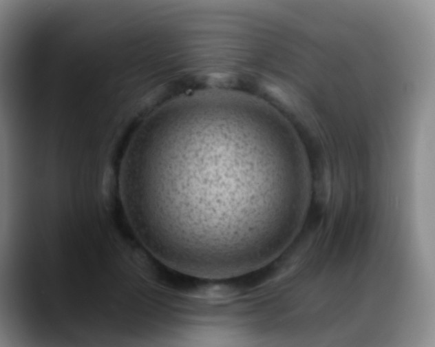 X0000088890748200706151829