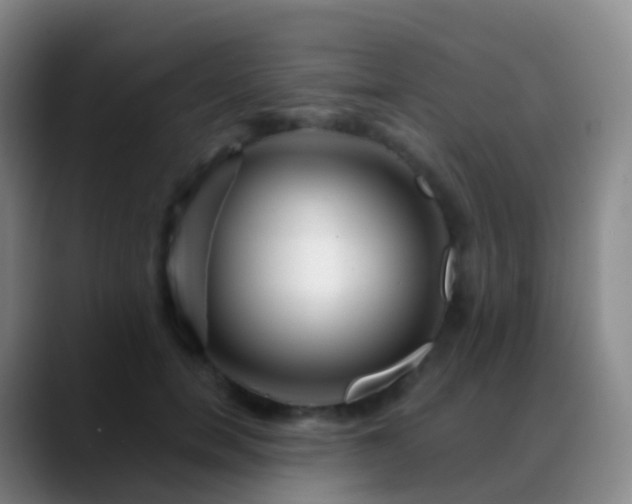 X0000088890750200706151829