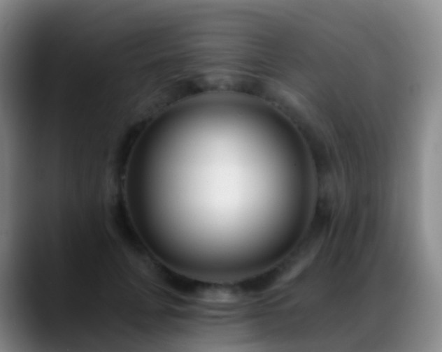 X0000088890751200706151829