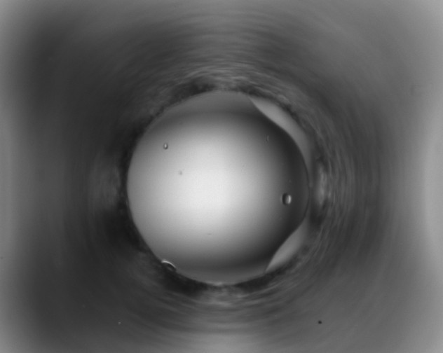 X0000088890752200706151829