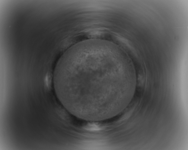 X0000088890753200706151829