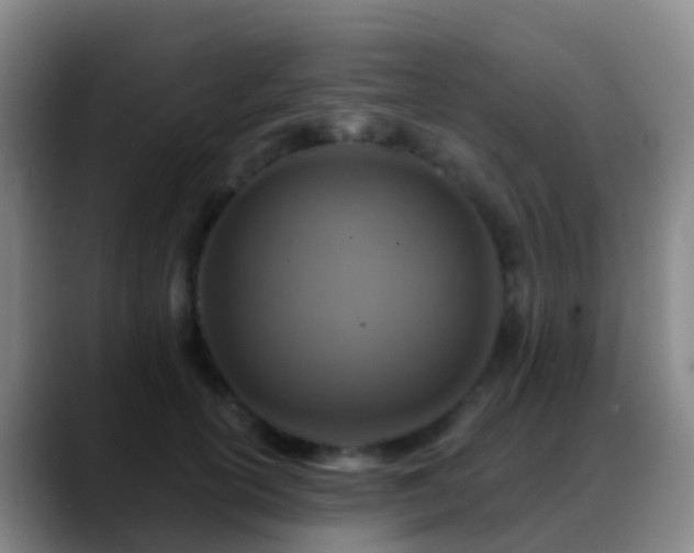 X0000088890754200706151829